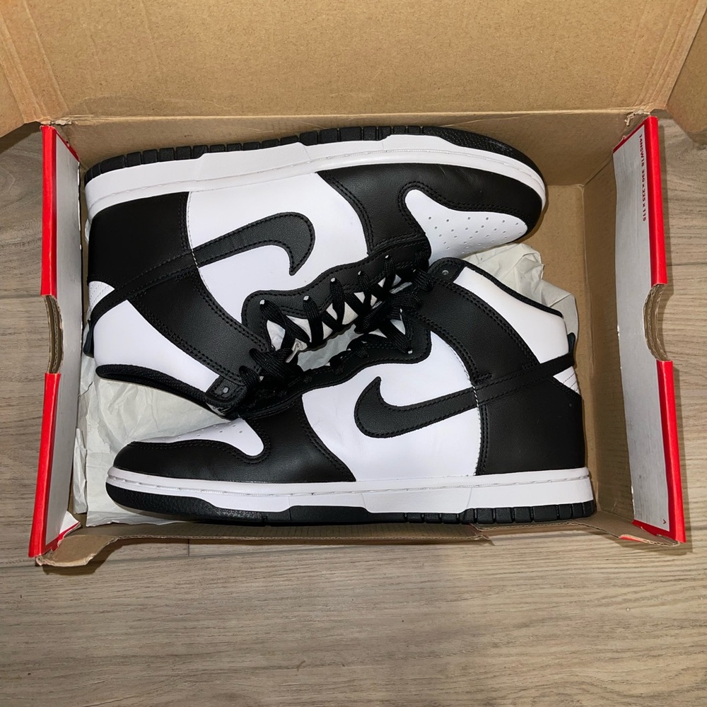 Panda Dunk Hi